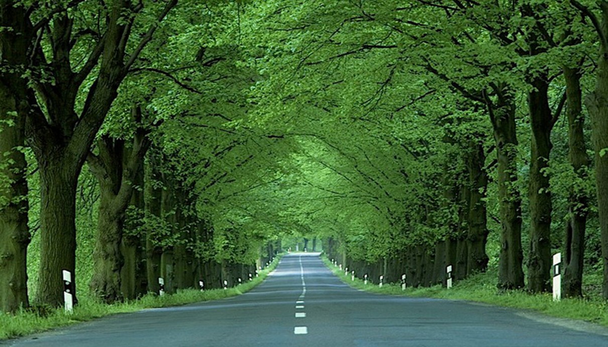 Brandenburger Allee Brandenburger Allee